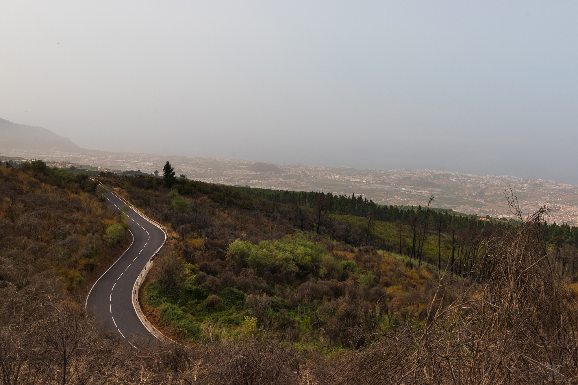 Blick auf Puerto de la Cruz