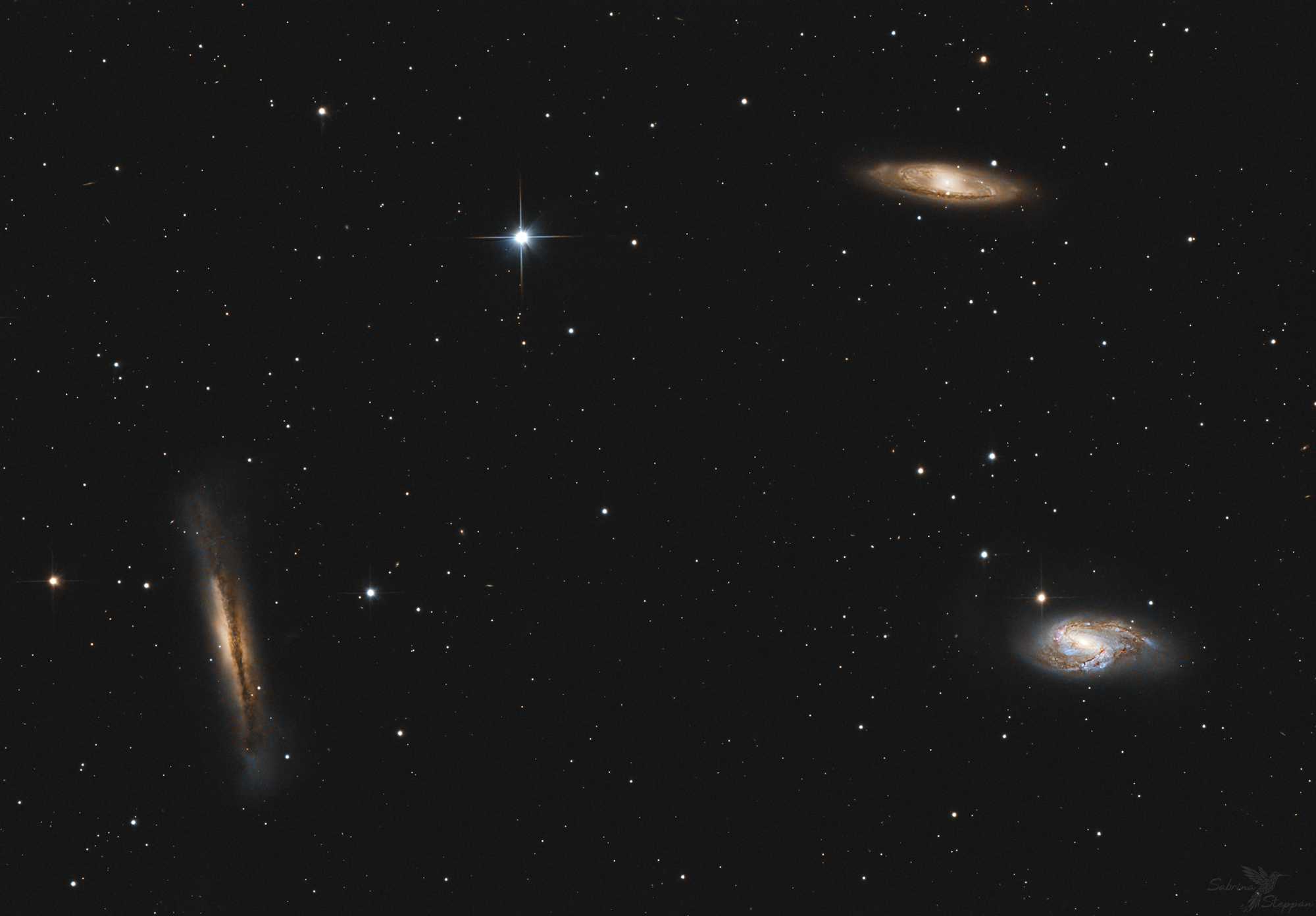 Leo-Triplett