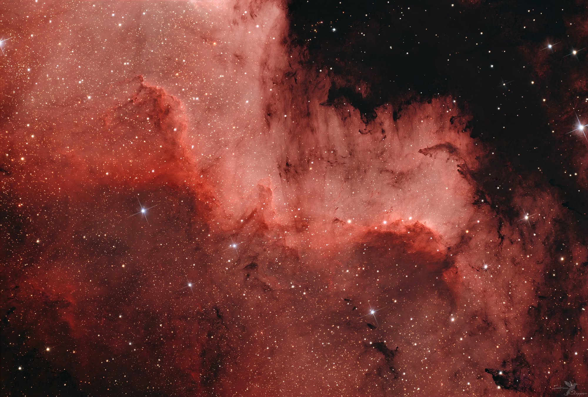 Cygnus-Wall