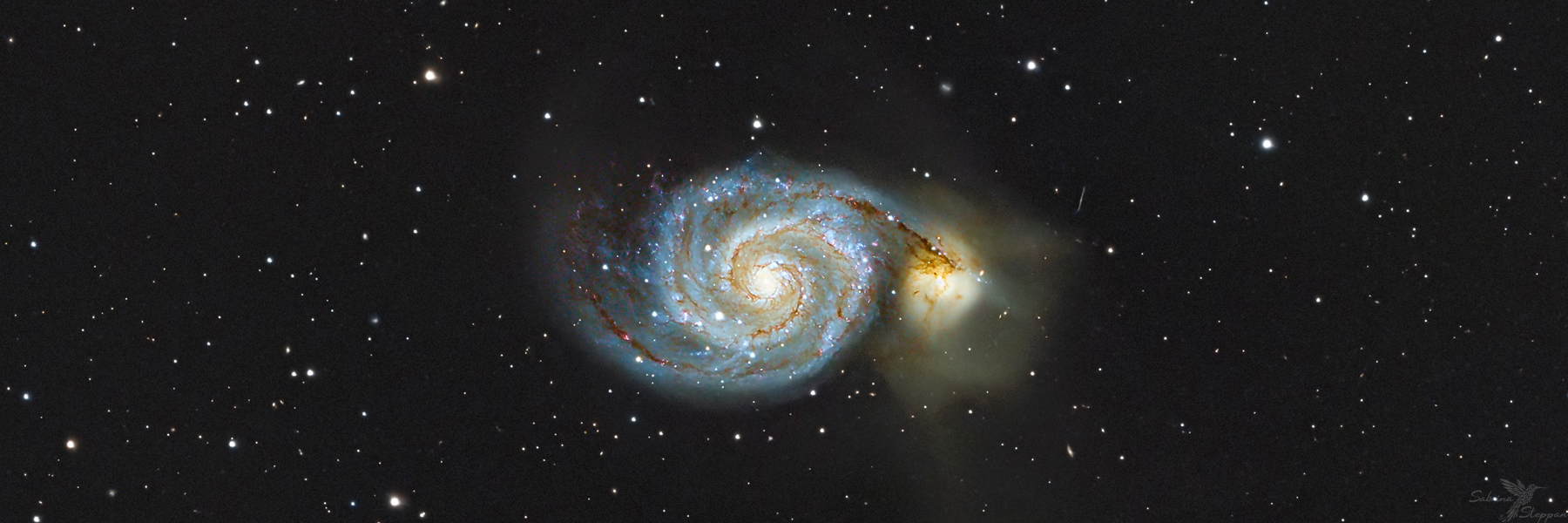 Whirlpool-Galaxie